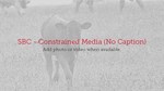 SBC - Constrained Media (No Caption) Template