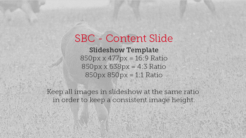 SBC - Slideshow Template